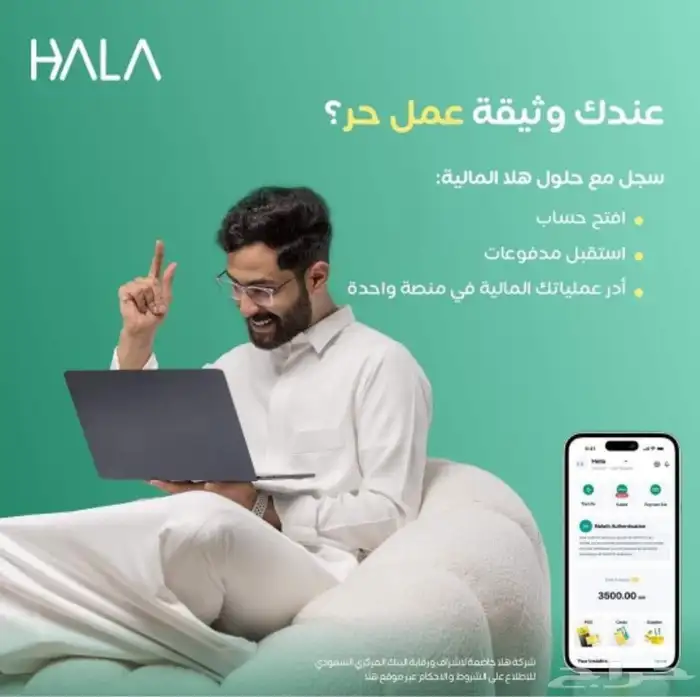 شبكة مدى نقاط بيع من شركة هلا 2