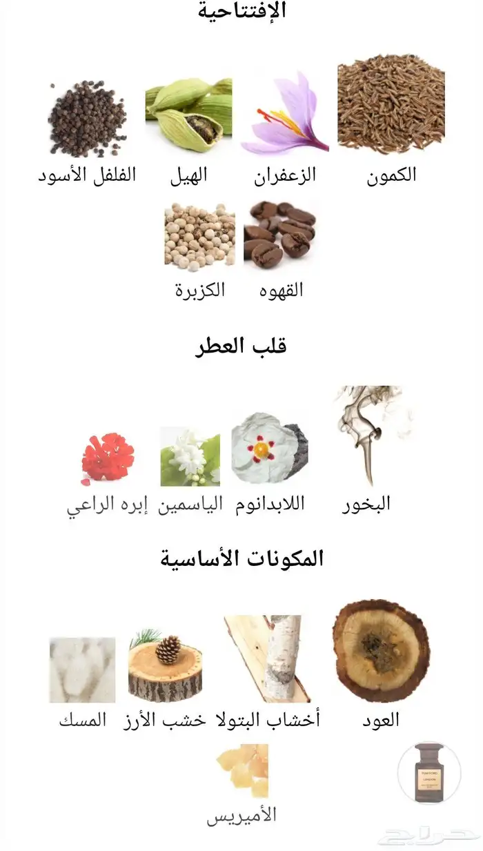 عطر روجا قطر 5