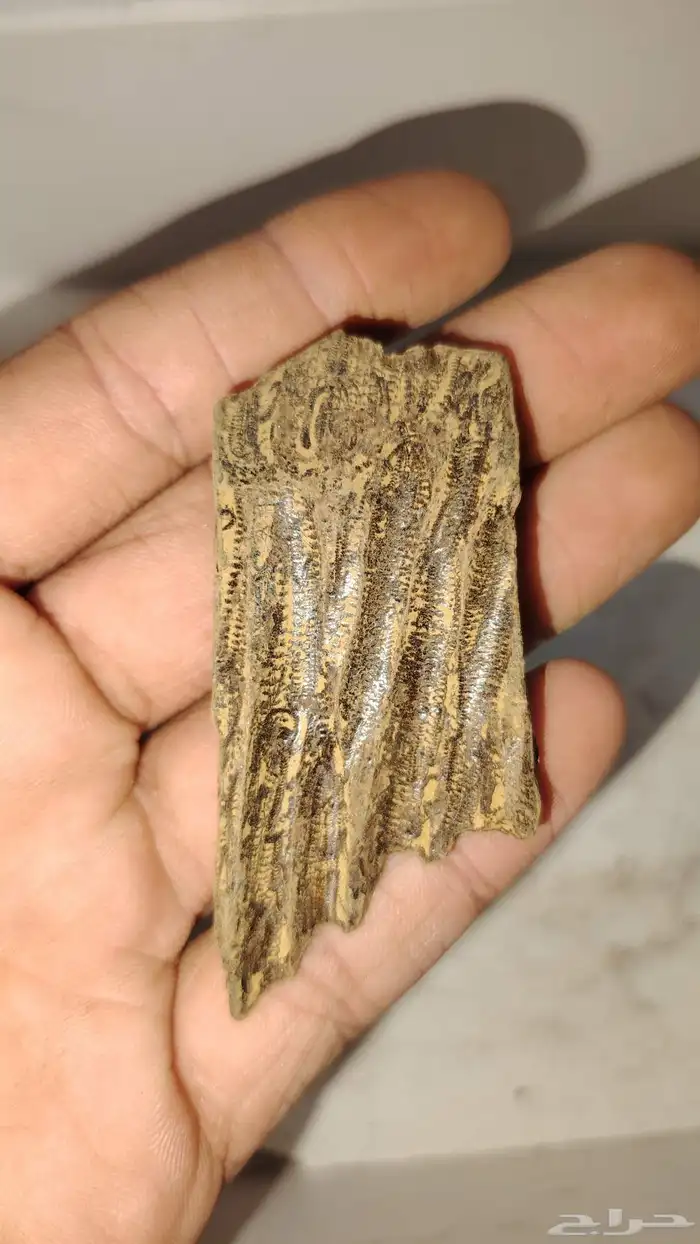 كلمنتان طبيعي محسن بيوور اي بي سوبر درجه اولى( العود الازرق) 3