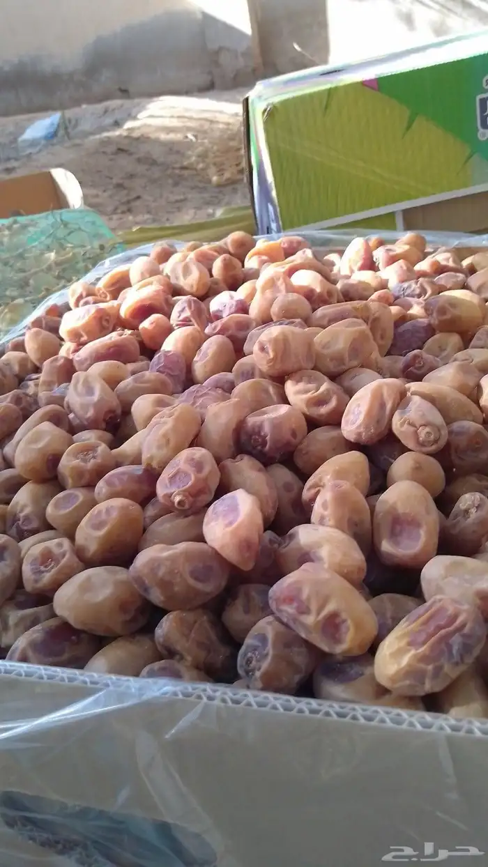 سلام عليكم اليوم عندنا اتمر حبه طيبة 4