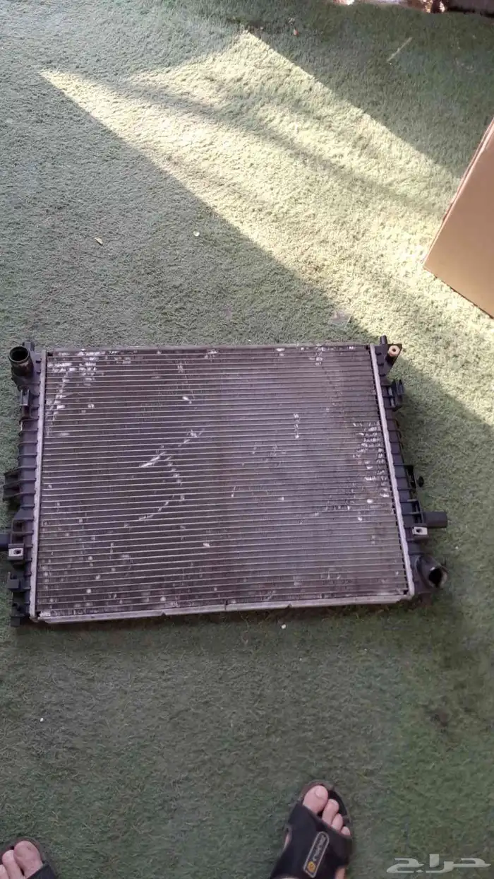 رديتر ماركيز 2007 حق بلادها 1