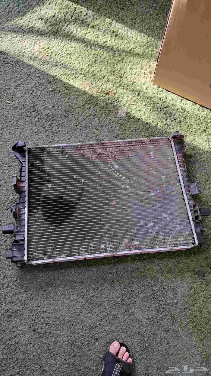 رديتر ماركيز 2007 حق بلادها 0