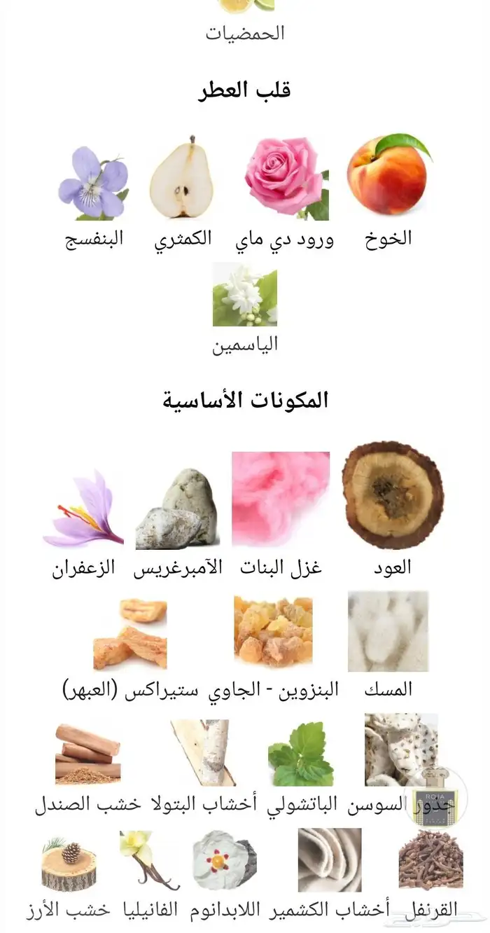 عطر روجا قطر 6