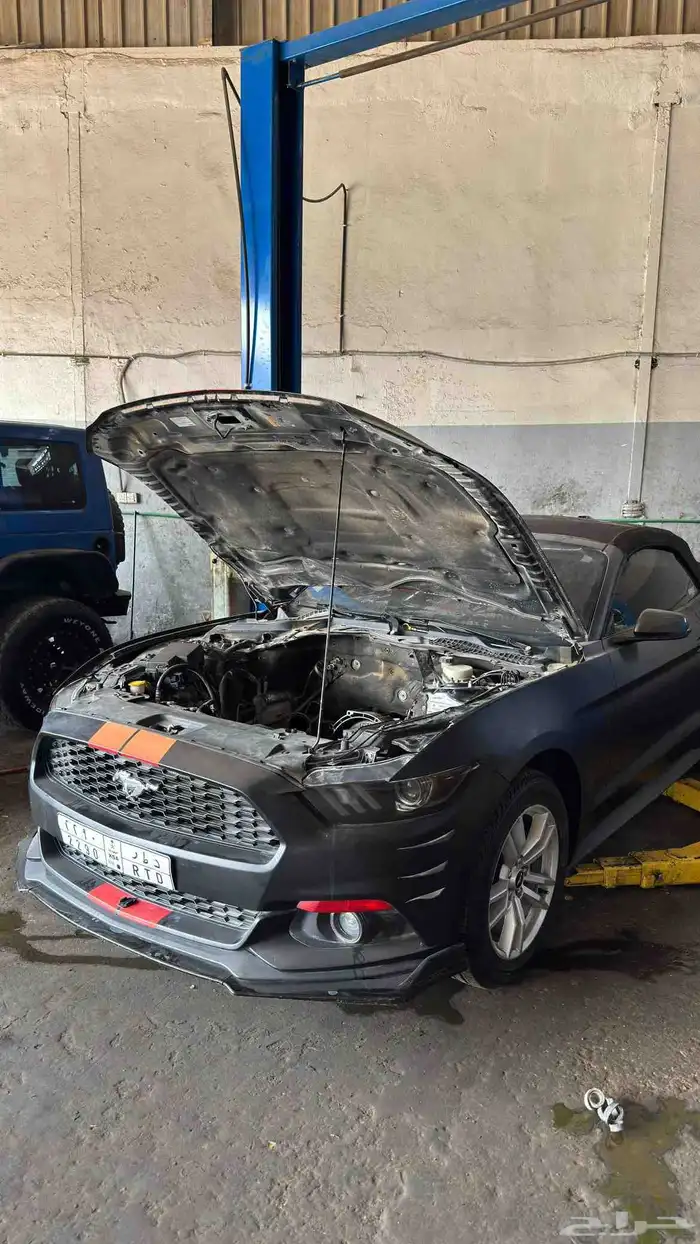 مكينه موستنق عروض اليوم الوطني ضمان 8 شهور 0