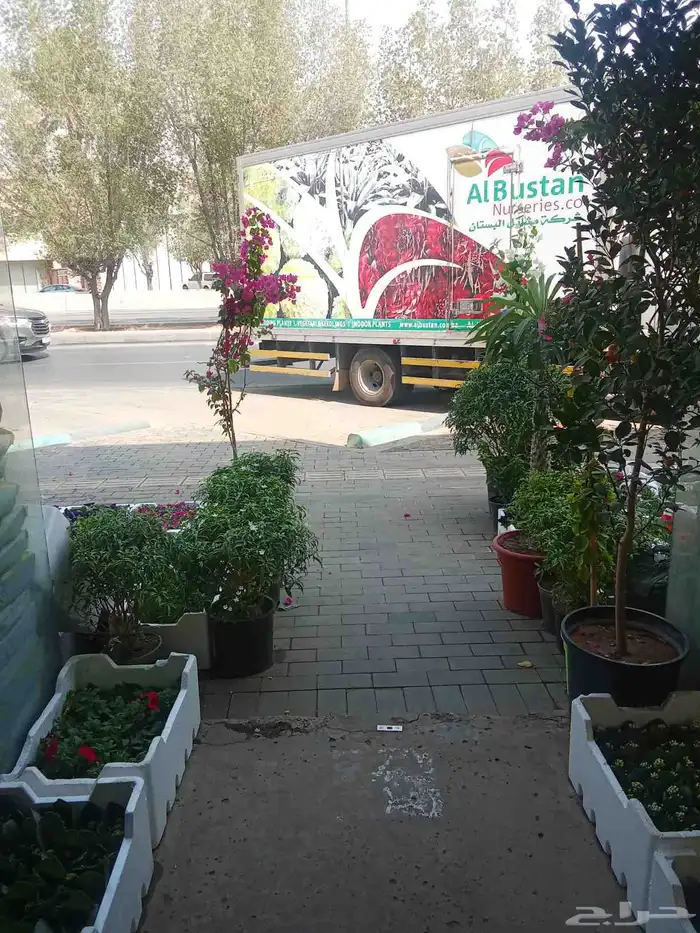 تنسيق حدائق 0