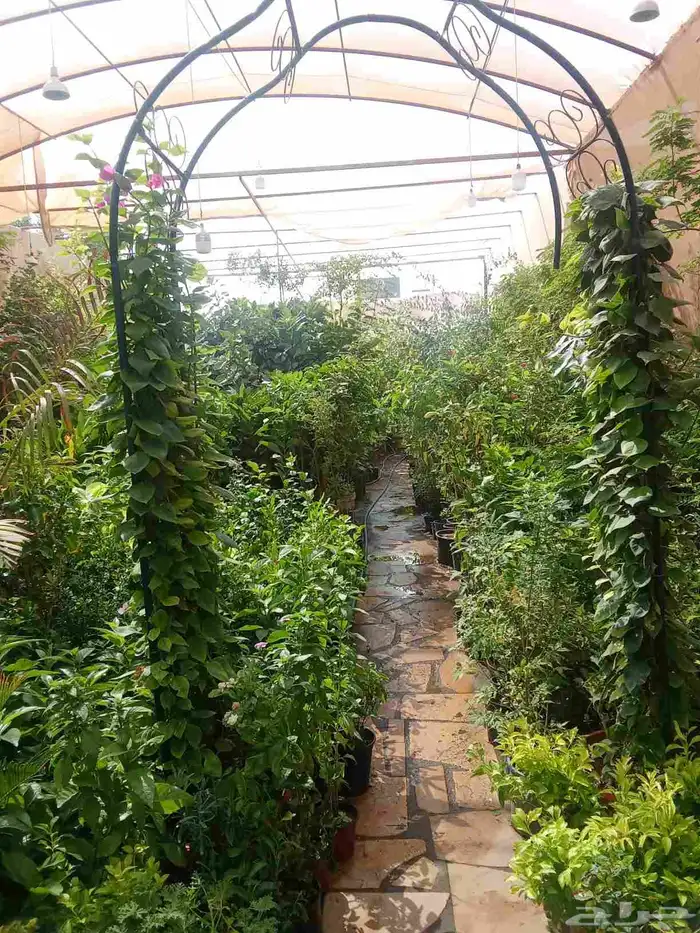 تنسيق حدائق 2