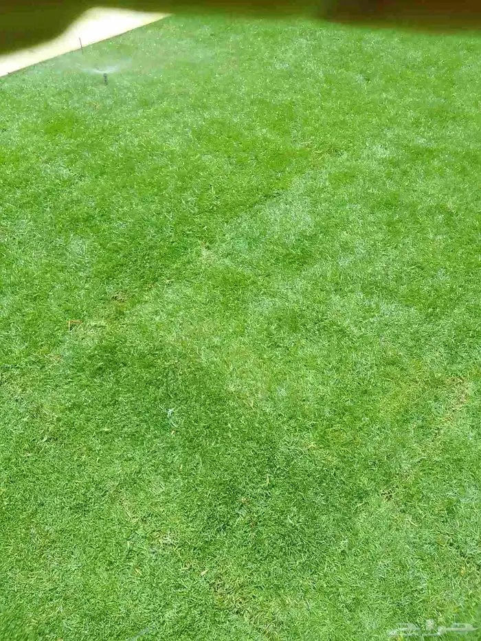 زراعه وحدائق 8