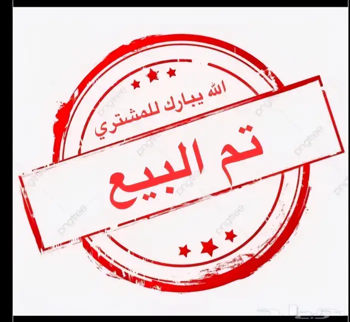 ثلاث اجواز ياسمين موزنبيقي أفريقي (( تم البيع )) 6
