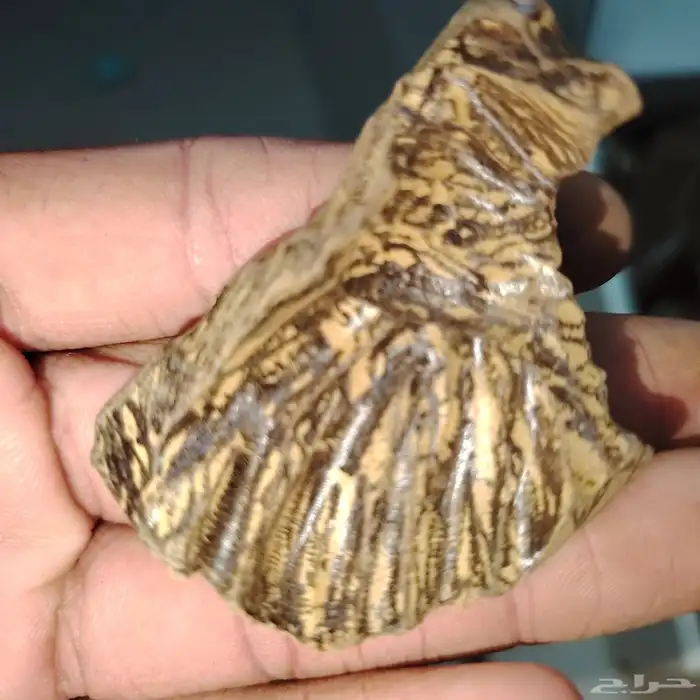 كلمنتان طبيعي محسن بيوور اي بي سوبر درجه اولى( العود الازرق) 0