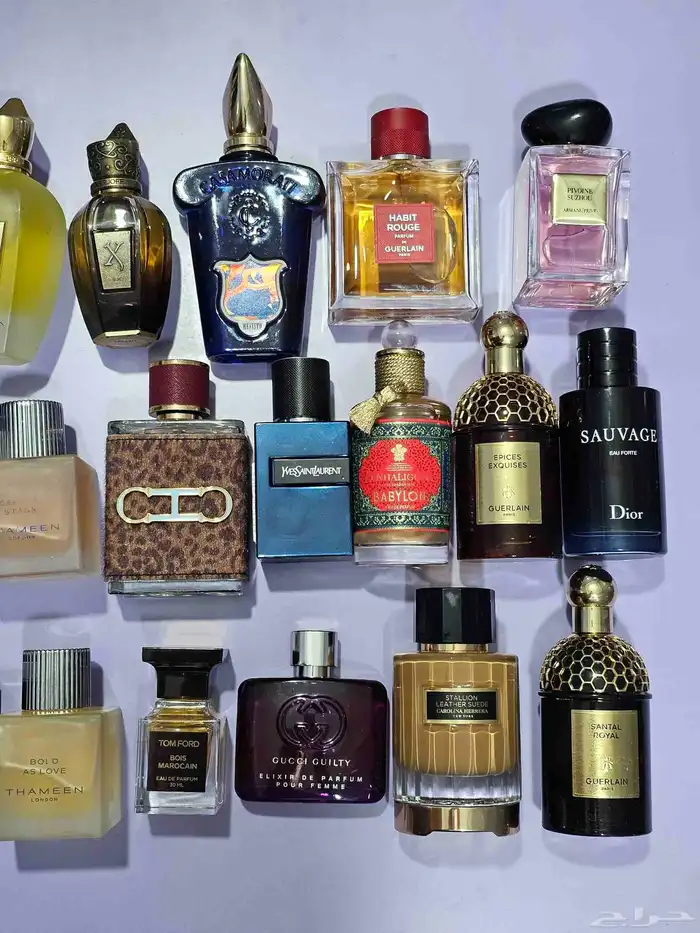 عطور اصلي بسعر اصلي 7