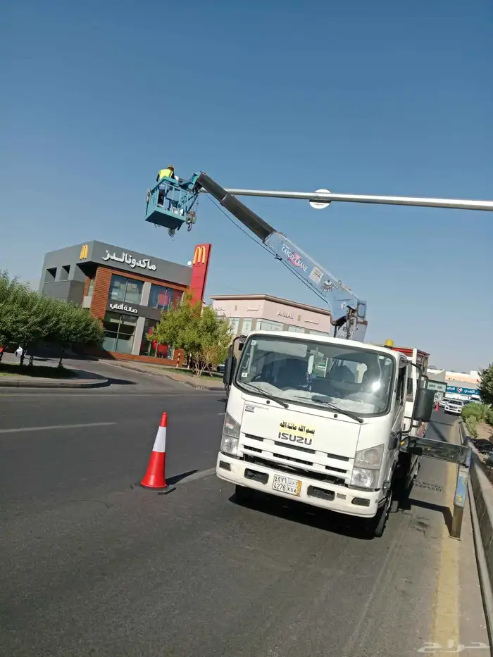 دينه ونش كرين باسكت 0
