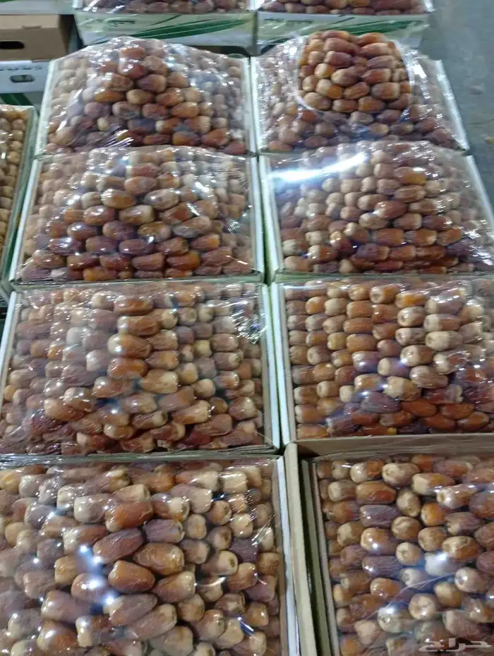 لبيع صقعي ملكي اصفر واحمر تقريبا 7كيلو 3