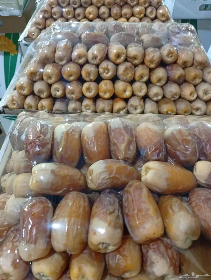 لبيع صقعي ملكي اصفر واحمر تقريبا 7كيلو 1