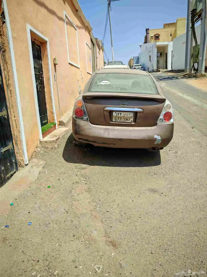 التيما 2005 2