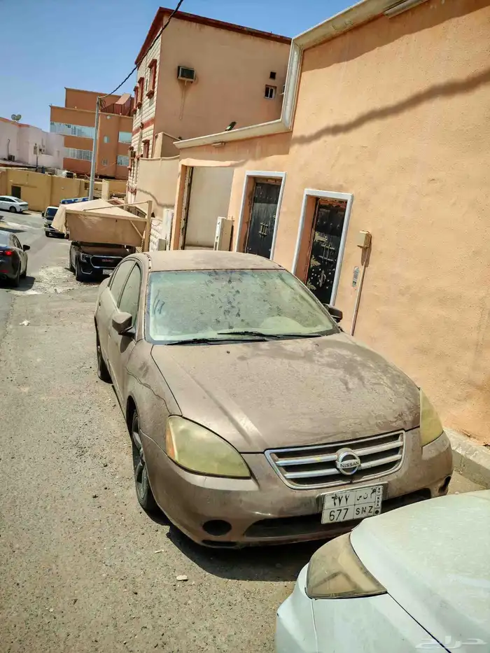 التيما 2005 1