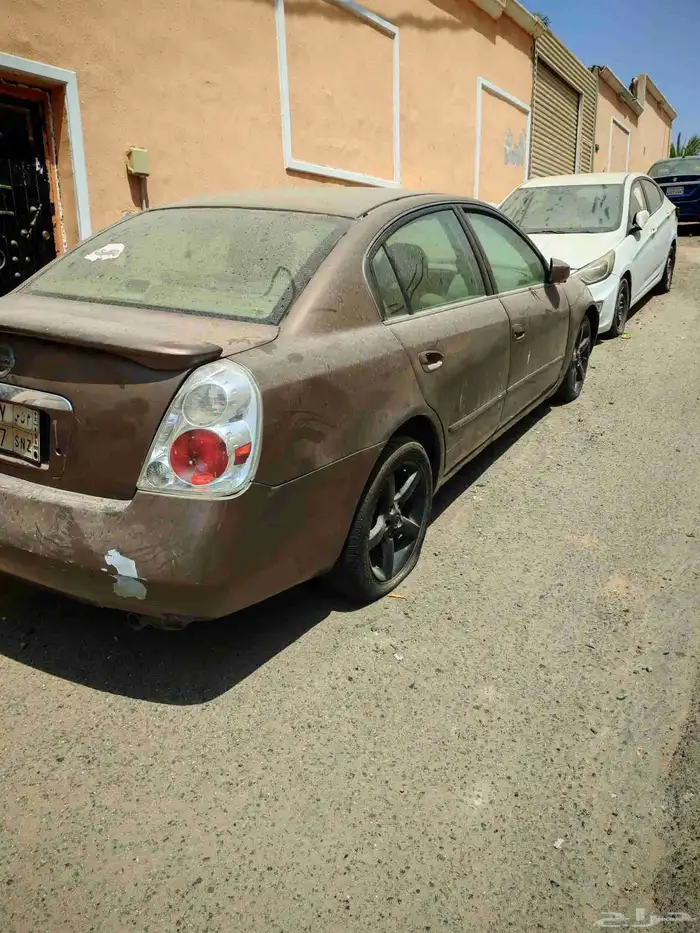 التيما 2005 3