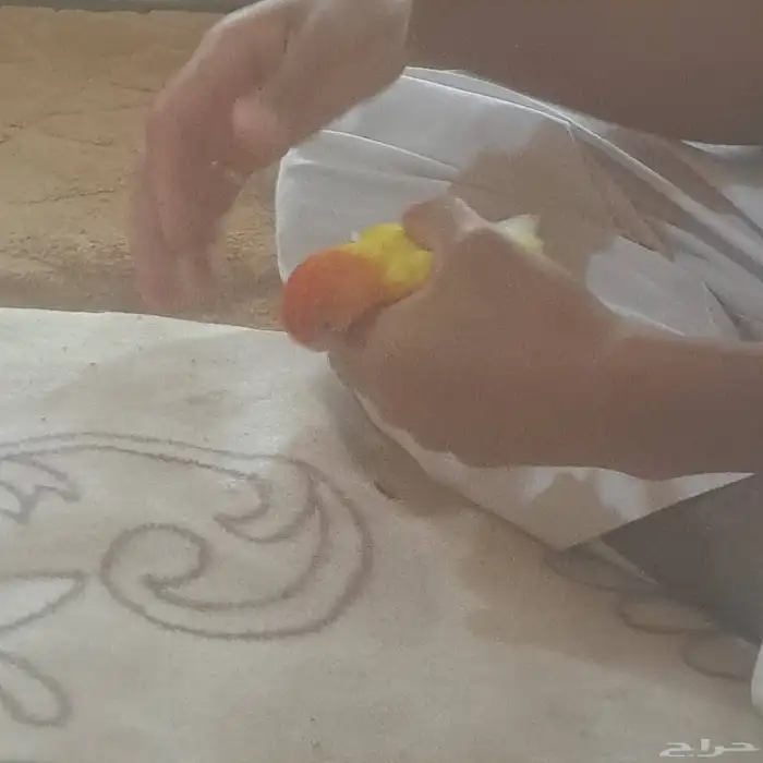 روز 3