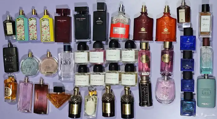 عطور اصلي بسعر اصلي 3