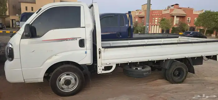 دينا كيا بنجو 2