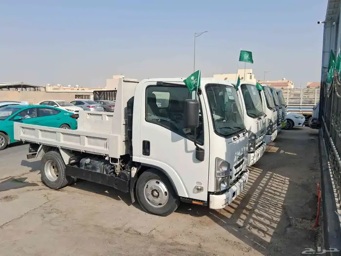 دينات ايسوزو 8