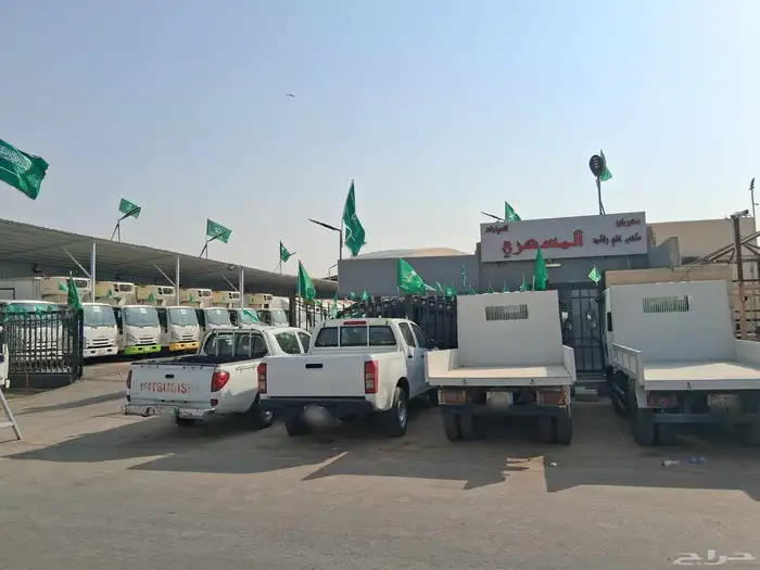 دينات ايسوزو 6