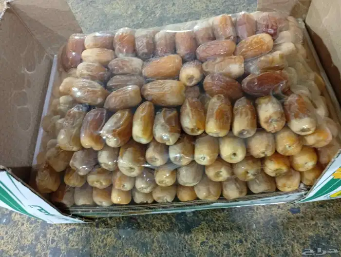 لبيع صقعي ملكي اصفر واحمر تقريبا 7كيلو 0