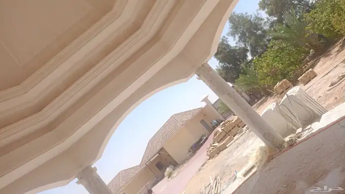 اعمال جبسيات . 5