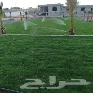 ثيل طبيعي درجه اولى C2000فرنسي 2