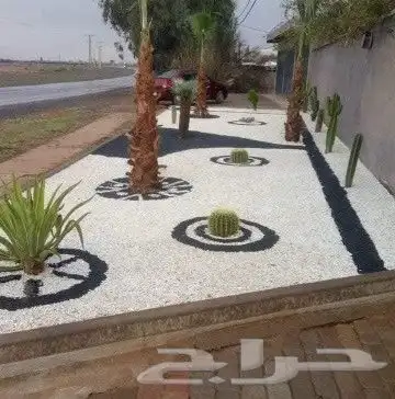 يوجد جميع الشتلات خرجي ودخلي 2