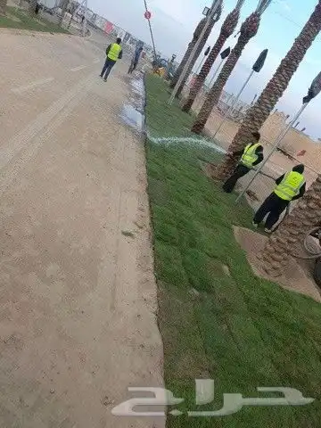 يوجد جميع الشتلات خرجي ودخلي 3