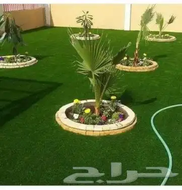 ثيل طبيعي درجه اولى C2000فرنسي 4