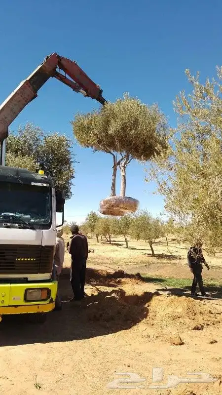 ونش اجار يوميه 4