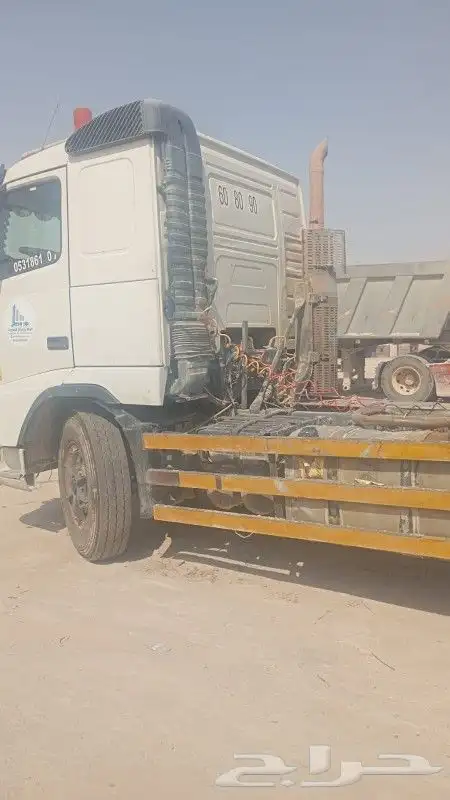 فلفو سكس 2007 1