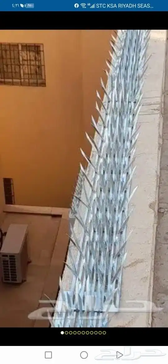 شركة مكافحة حمام وحشرات وتنظيف خزانات وتنظيف كنب 0