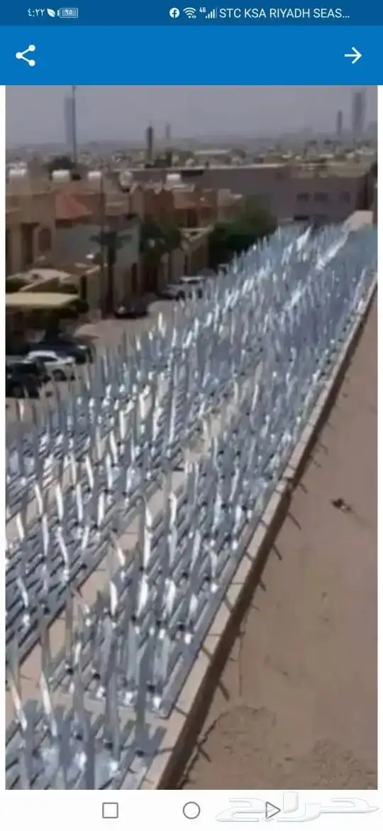شركة مكافحة حمام وحشرات وتنظيف خزانات وتنظيف كنب 1