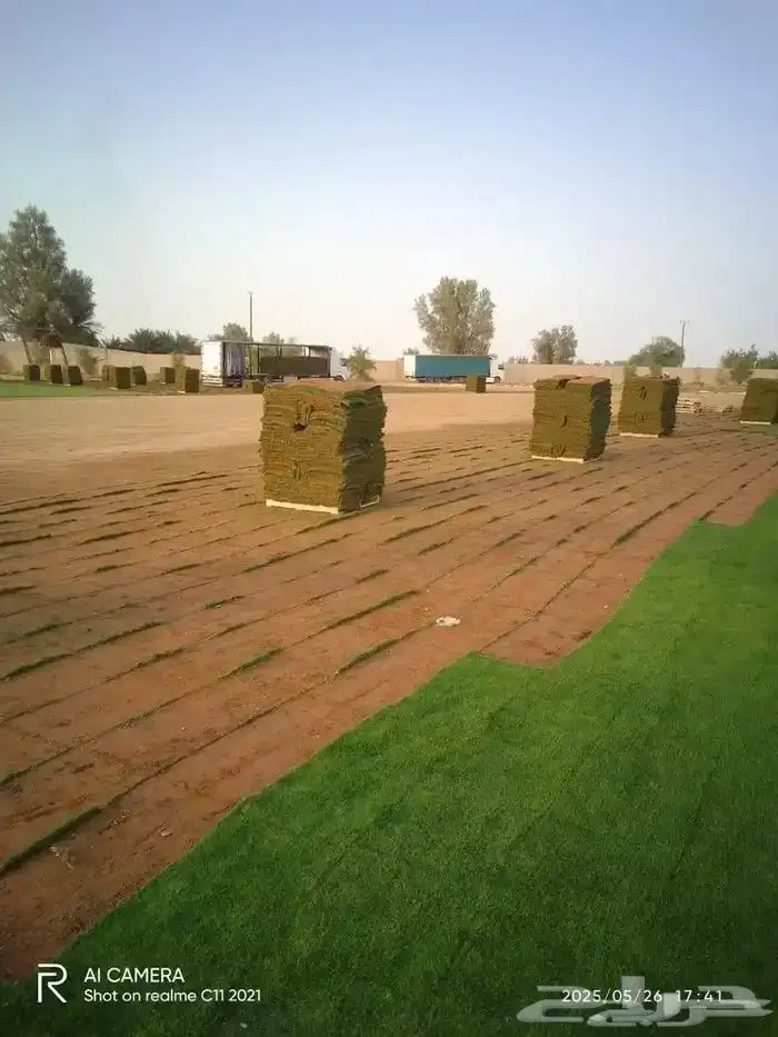ثيل طبيعي درجه اولى C2000فرنسي 1