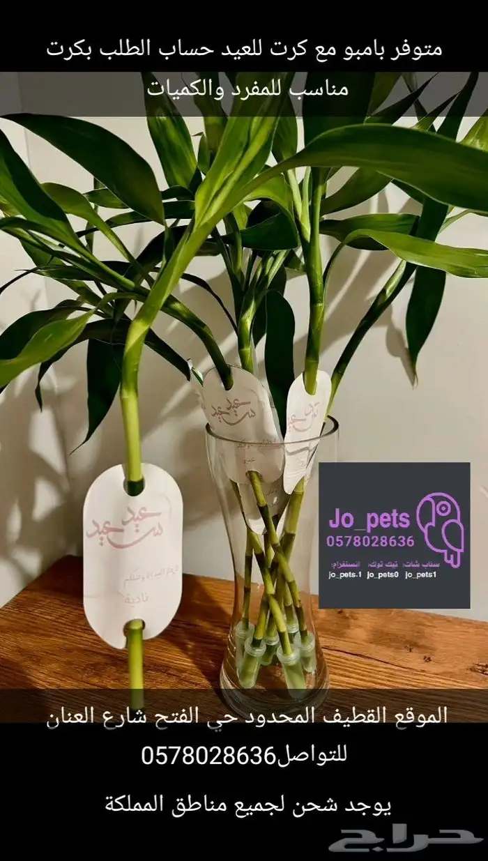 بامبو للتوزيعات وجمله 0