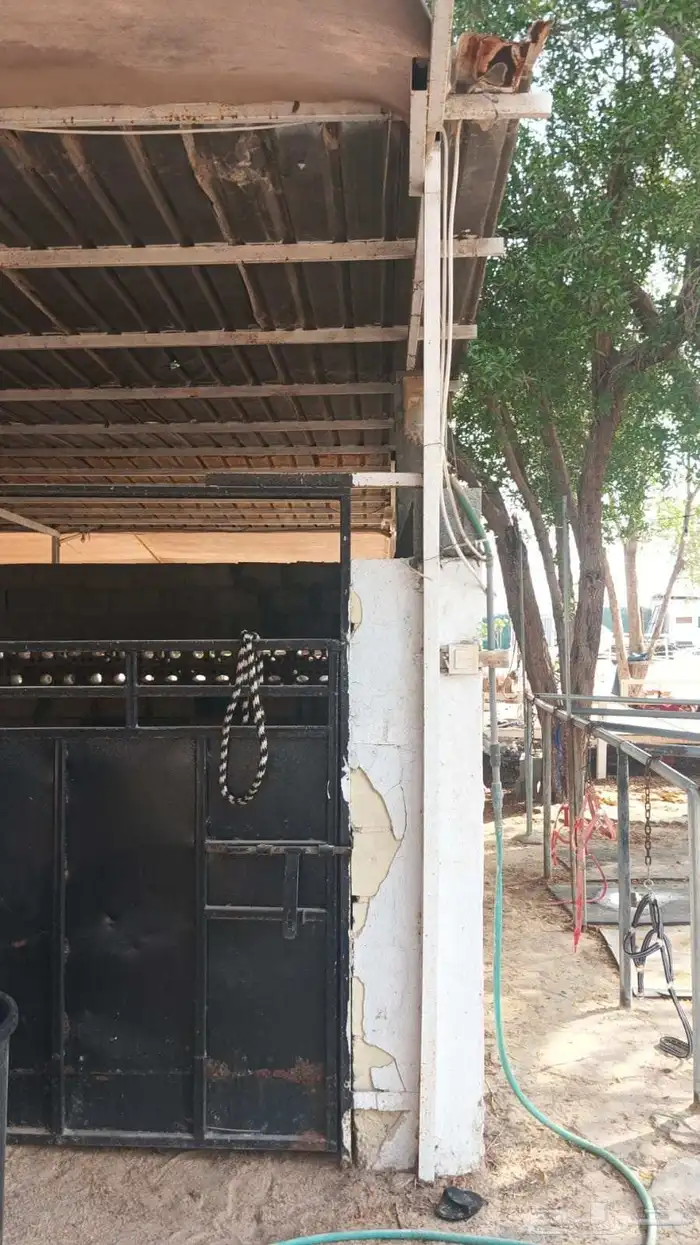 مجموعة مرتبات وحديد وشنكو واتشات حديد كميه كبيرة للبيع 8