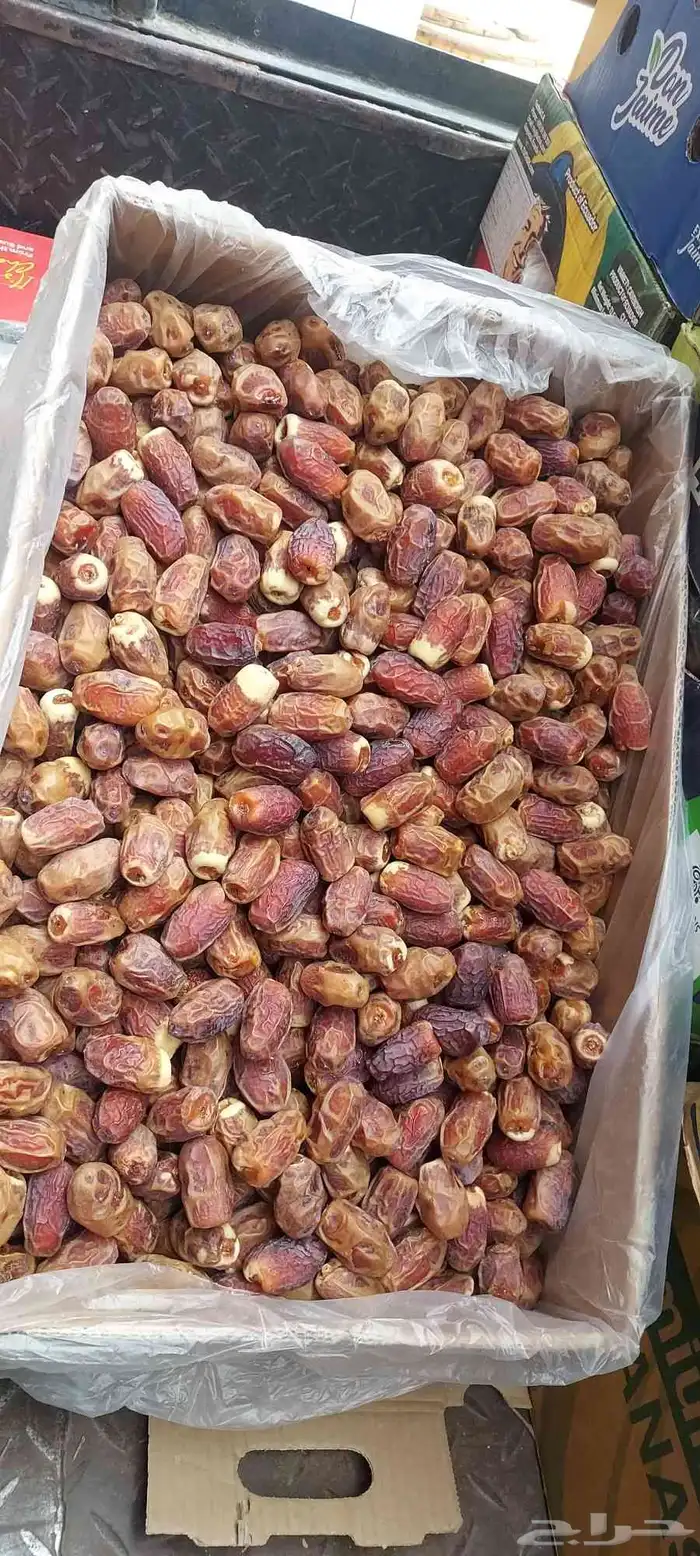 يوجد صقعي خام 0