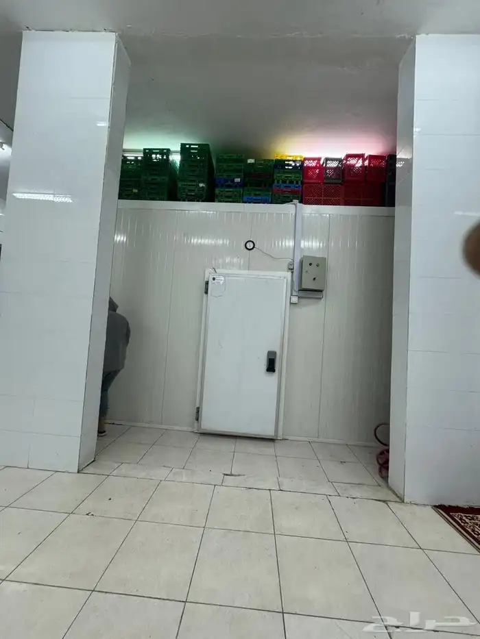 معمل شاورما للبيع مرخص سياره ونيت مستعمله ديانات اقفاص دجاج 15