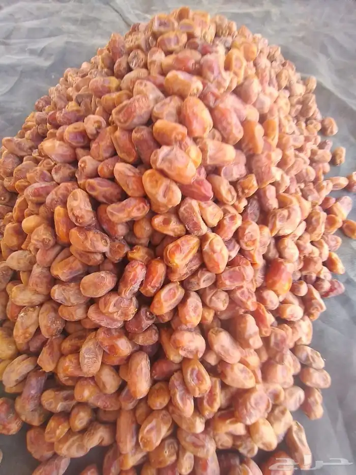 باقي 6كراتين صقعي وخلاص 2