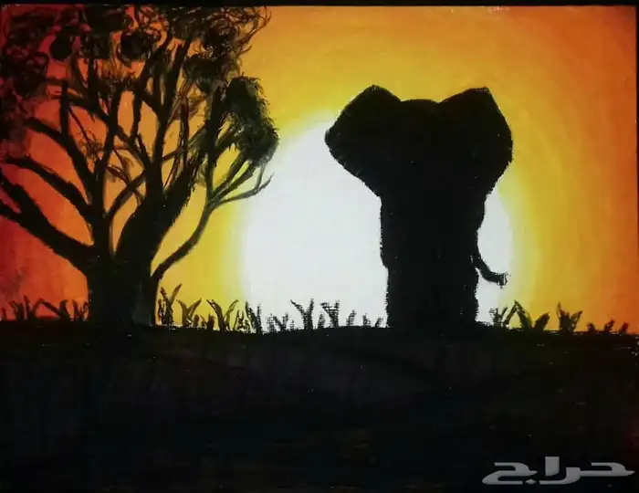 رسام طلبيات وجدار وخط..لليوم الوطني 11