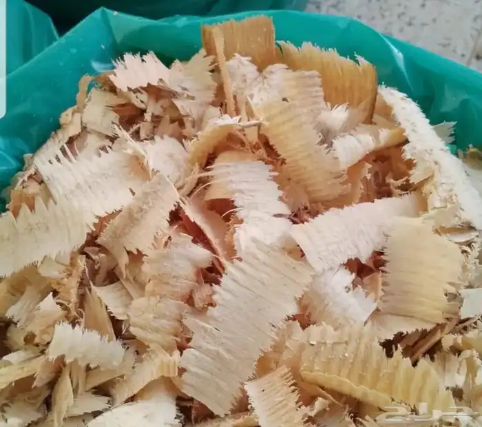 نشارة فاخرة بمدينة حائل 3