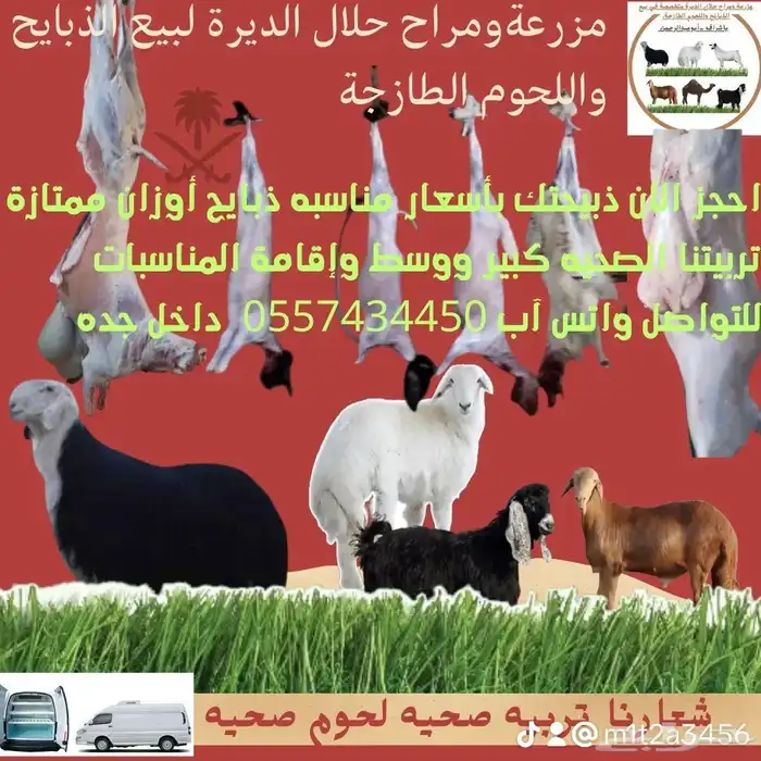مزرعة حلال الديرة متخصصة في بيع الذبائح واللحوم الطازجة 0