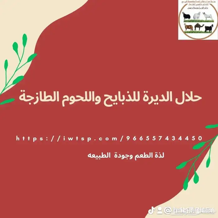 مزرعة حلال الديرة متخصصة في بيع الذبائح واللحوم الطازجة 1