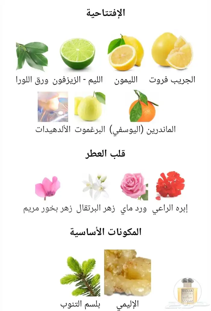 من نوادر روجا عطر ماديسون 4