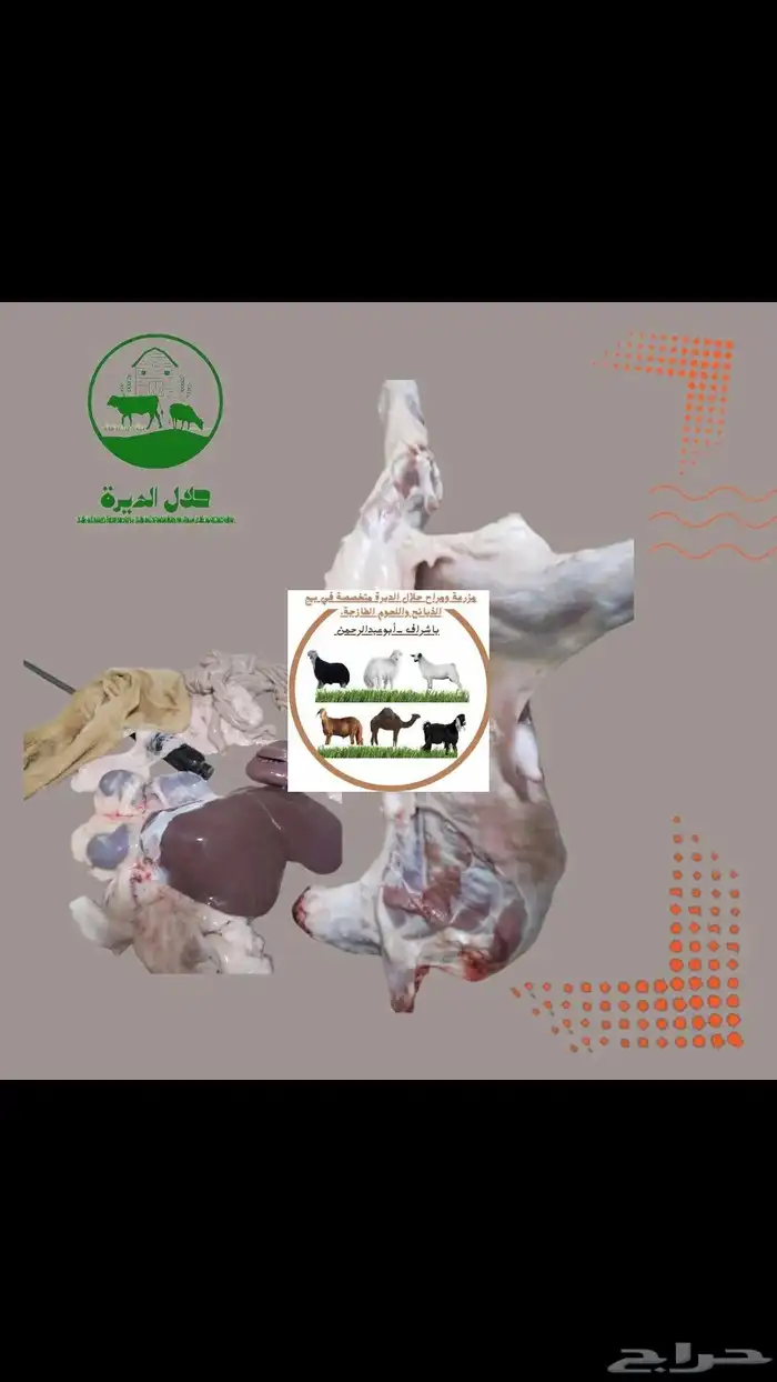 مزرعة حلال الديرة متخصصة في بيع الذبائح واللحوم الطازجة 2