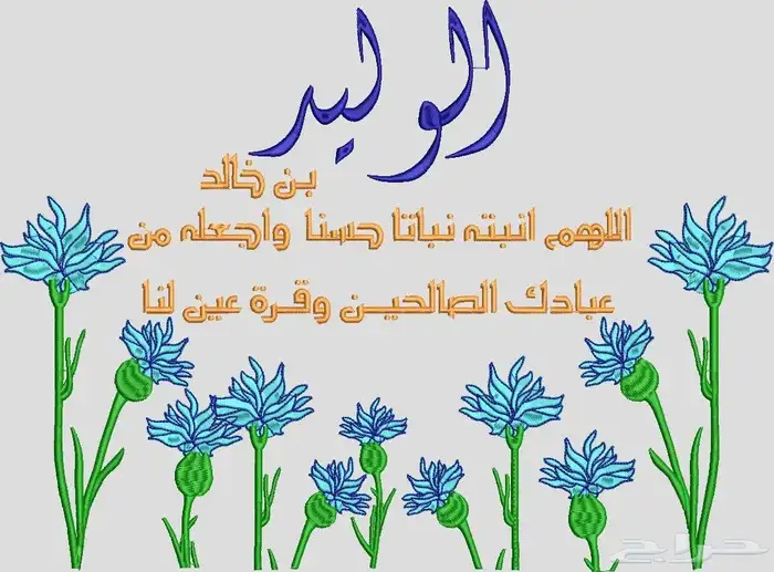 تصاميم تطريز كمبيوتر 11