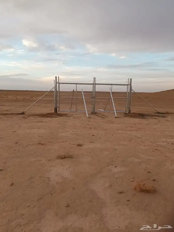 مقاول شبوك 5