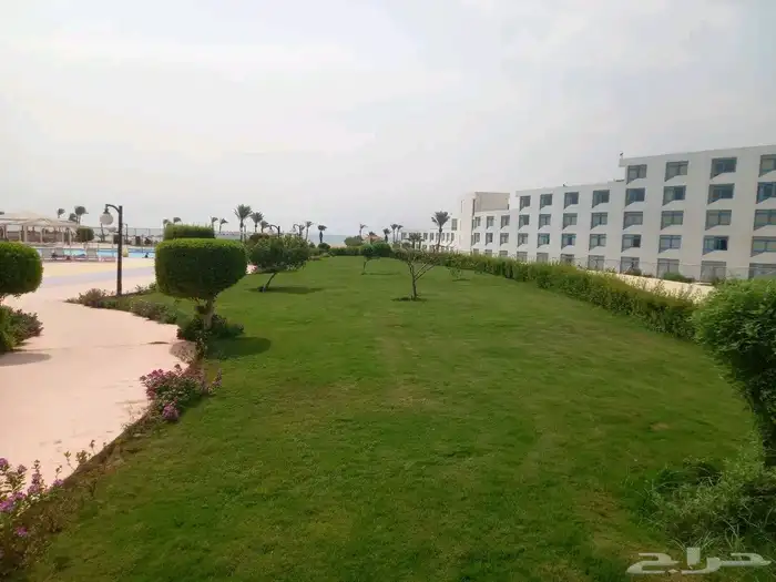 زرع طبيعي واشجار تخفيضات بمناسبة اليوم الوطني 1